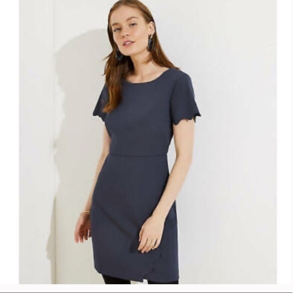Loft Short Sleeve Scalloped Sheath Dress. Size 2 - Picture 1 of 5